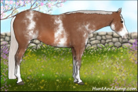 Horse Color:White Spotted Silver Bay Splash 