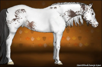 Horse Color:White Spotted Brown Tobiano Rabicano