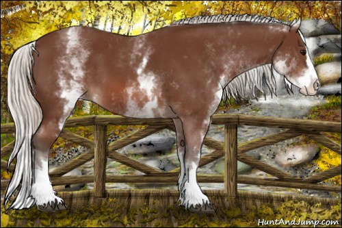 Horse Color: White Spotted Silver Bay Splash 