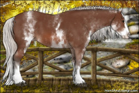 Horse Color:White Spotted Silver Bay Splash 