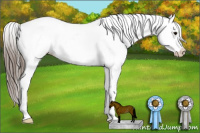 Horse Color:Black Appaloosa Rabicano 