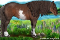 Horse Color:White Spotted Liver Chestnut Sabino