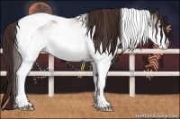 Horse Color:White Spotted Liver Chestnut Tobiano 