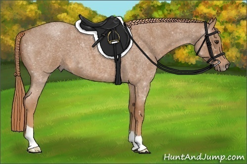 Horse Color:Red Roan 