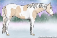 Horse Color:Cremello Sabino Tobiano