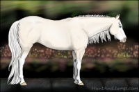 Horse Color:Gold Cream Champagne Pearl Splash 
