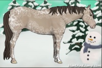 Horse Color:Classic Champagne Ice Sabino