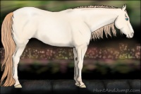 Horse Color:Amber Cream Champagne Pearl 