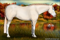 Horse Color:Amber Cream Champagne Pearl Splash 