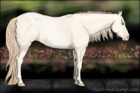 Horse Color:Amber Cream Champagne Pearl 
