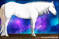 Horse Color:Smoky Grullo Pearl Tobiano Appaloosa Rabicano 
