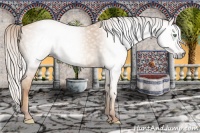 Horse Color:Gray Silver Amber Champagne 