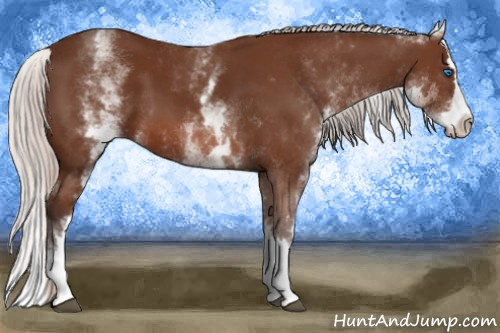 Horse Color: White Spotted Silver Bay Splash 