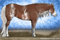 Horse Color:White Spotted Silver Bay Splash 