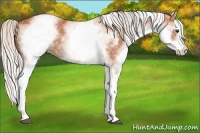 Horse Color:White Spotted Silver Bay Splash 