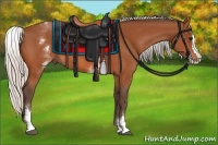 Horse Color:White Spotted Silver Bay Splash 