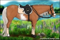 Horse Color:White Spotted Silver Bay Splash 