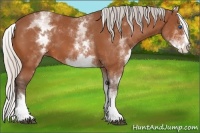 Horse Color:White Spotted Silver Bay Splash