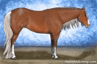 Horse Color:White Spotted Silver Bay Splash 