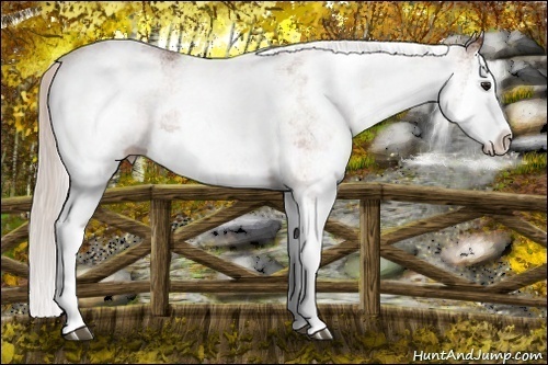 Horse Color: White Spotted Silver Bay Splash 
