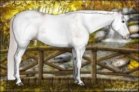 Horse Color:White Spotted Silver Bay Splash