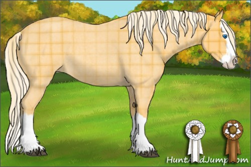 Horse Color: Plaid  Palomino Roan Splash 