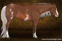 Horse Color:White Spotted Silver Bay Splash 