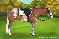 Horse Color:White Spotted Silver Bay Splash 