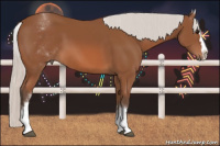 Horse Color:White Spotted Silver Bay Splash 