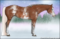Horse Color:White Spotted Silver Bay Splash