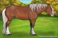 Horse Color:White Spotted Silver Bay Splash