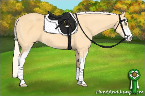 Horse Color: Gold Cream Champagne Sabino 