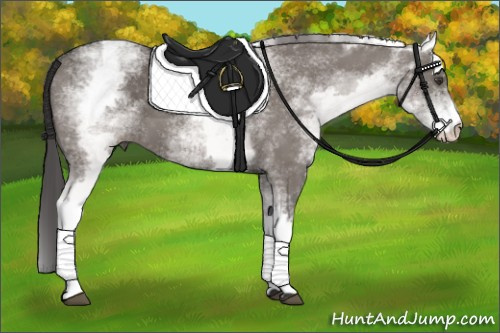 Horse Color: White Spotted Smoky Grullo 