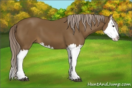 Horse Color: Chocolate Palomino Splash 