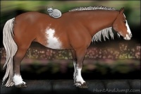 Horse Color:White Spotted Silver Bay Splash 