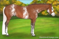 Horse Color:White Spotted Silver Bay Splash 