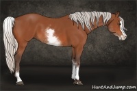 Horse Color:White Spotted Silver Bay Splash 