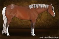 Horse Color:White Spotted Silver Bay Splash