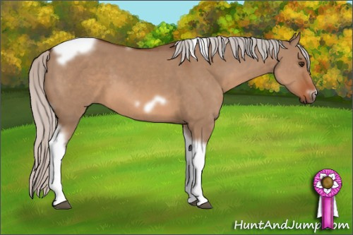 Horse Color: Silver Brown Dun Tobiano Frame 