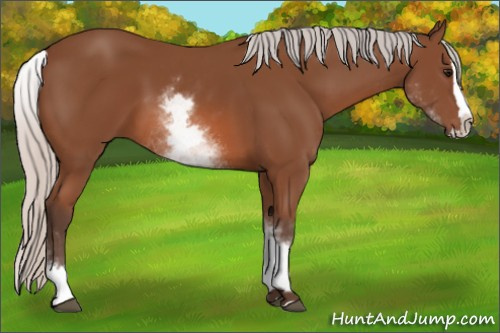 Horse Color: White Spotted Silver Bay Splash 