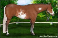 Horse Color:White Spotted Silver Bay Splash Frame 