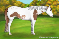 Horse Color:Liver Chestnut Sabino Splash Tobiano Rabicano