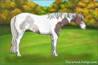 Horse Color:Silver Black Sabino Tobiano 