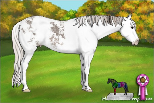 Horse Color: Silver Black Ice Sabino Splash 