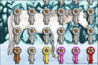 Horse Color:White Spotted Silver Bay Ice Dun Sabino Splash 