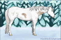 Horse Color:White Spotted Silver Grullo Splash Tobiano 