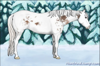 Horse Color:White Spotted Silver Black Splash Tobiano 