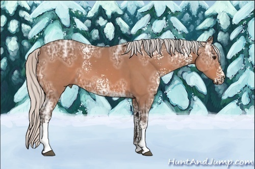 Horse Color: White Spotted Silver Bay Ice 