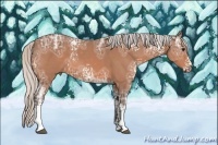 Horse Color:White Spotted Silver Bay Ice
