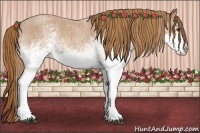 Horse Color:White Spotted Red Roan 